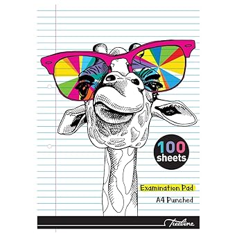 A4 100 Sheet Exam Pads Punched