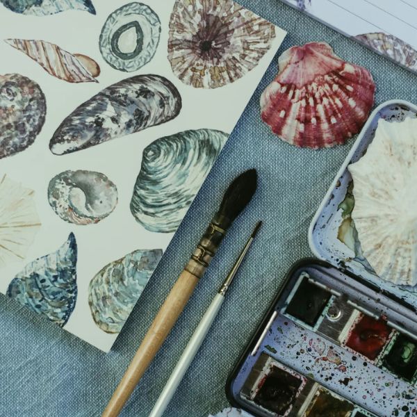 Illustrated Square Notebooks, 80 pages