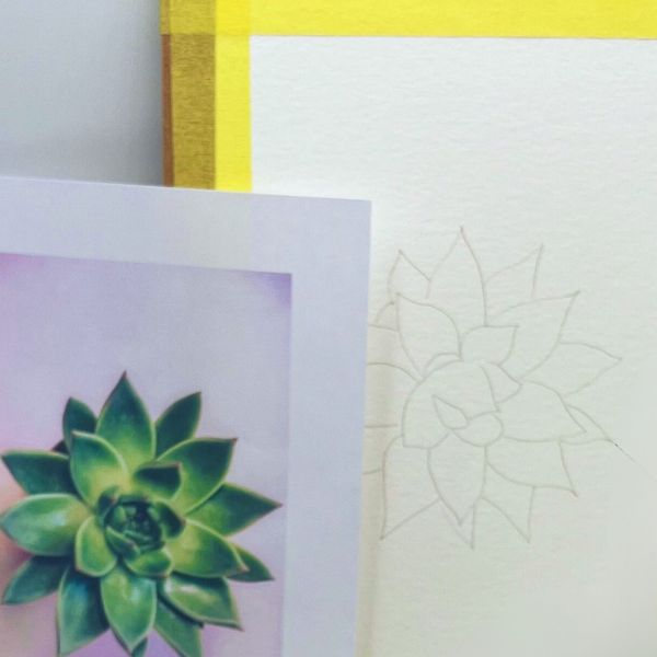 Scribble and Scratch Rockrose Watercolour Drawing on Paper