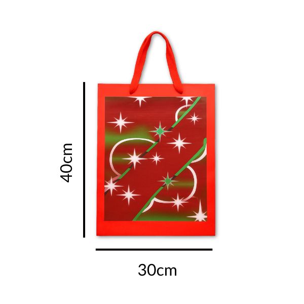 Christmas Gift Bag - Red with stars and Green Tissue Paper (30 × 40 cm)