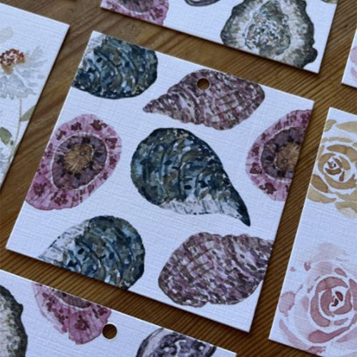 Sea Shell Square Gift Tags, Set of 5 - Scribble and Scratch