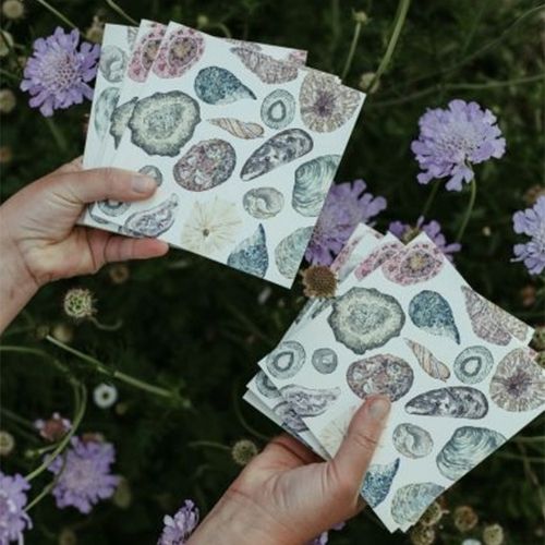 Sea Shell Square Gift Tags, Set of 5 , Shop online!